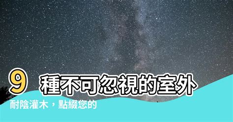 室外耐陰灌木|【室外耐陰灌木】9種不可忽視的室外耐陰灌木，點綴。